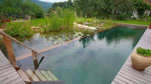 How to Build an Eco-Friendly Swimming Pool: Sustainable Tips